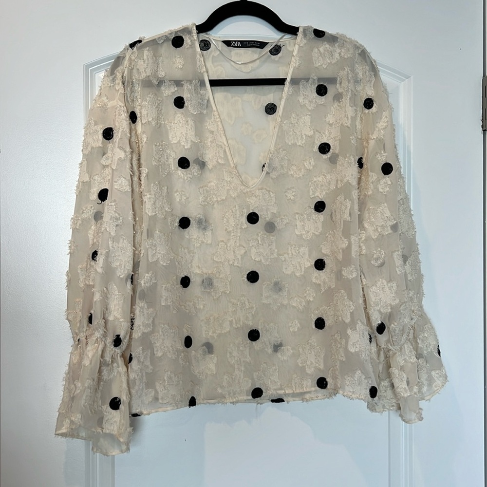 Zara Sheer Blouse, Medium